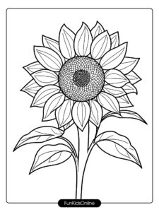 Sunflower Close Up for Kids