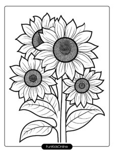 Sunflower Group Line Drawing