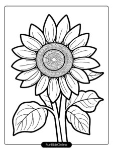 Sunflower and Sun Drawing for Kids