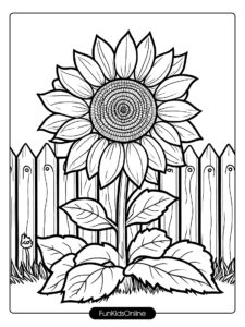 Sunflower by the Fence Drawing