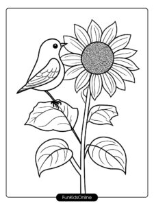 Sunflower with Bird Simple Sketch