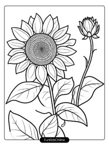 easy to color sunflower close up showcases the beauty of nature with bold lines and simple shapes