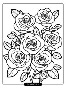 rose garden illustration showcases roses at different stages of bloom