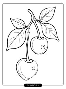 Simple Cherry Branch Coloring Page tn